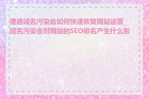 遭遇域名污染后如何快速恢复网站运营_域名污染会对网站的SEO排名产生什么影响