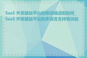 SaaS 外贸建站平台的移动端适配如何_SaaS 外贸建站平台的多语言支持情况如何