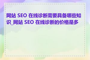 网站 SEO 在线诊断需要具备哪些知识_网站 SEO 在线诊断的价格是多少