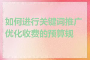 如何进行关键词推广优化收费的预算规划