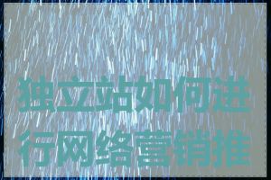 独立站如何进行网络营销推广