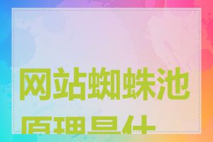 网站蜘蛛池原理是什么