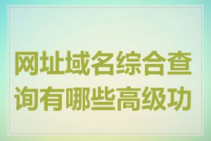 网址域名综合查询有哪些高级功能