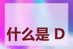 什么是 DHCP 协议
