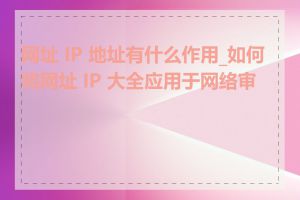 网址 IP 地址有什么作用_如何将网址 IP 大全应用于网络审计