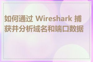 如何通过 Wireshark 捕获并分析域名和端口数据包