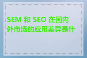 SEM 和 SEO 在国内外市场的应用差异是什么