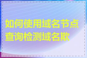 如何使用域名节点查询检测域名欺骗