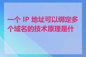 一个 IP 地址可以绑定多个域名的技术原理是什么