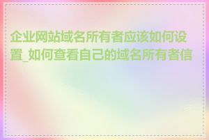 企业网站域名所有者应该如何设置_如何查看自己的域名所有者信息