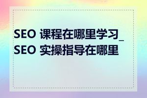 SEO 课程在哪里学习_SEO 实操指导在哪里找