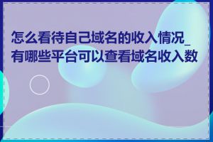 怎么看待自己域名的收入情况_有哪些平台可以查看域名收入数据
