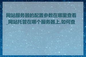网站服务器的配置参数在哪里查看_网站托管在哪个服务器上,如何查询
