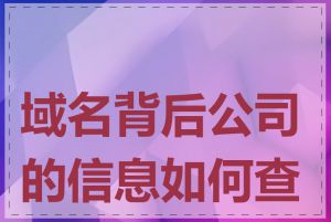 域名背后公司的信息如何查询