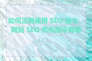 如何正确使用 SEO 指令_网站 SEO 优化指令有哪些
