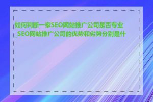 如何判断一家SEO网站推广公司是否专业_SEO网站推广公司的优势和劣势分别是什么