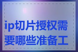 ip切片授权需要哪些准备工作