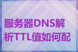 服务器DNS解析TTL值如何配置