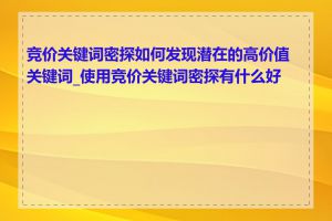 竞价关键词密探如何发现潜在的高价值关键词_使用竞价关键词密探有什么好处