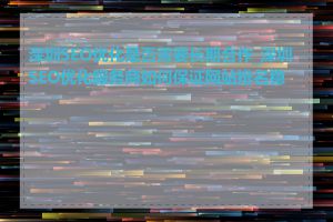 深圳SEO优化是否需要长期合作_深圳SEO优化服务商如何保证网站排名稳定