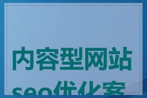 内容型网站seo优化案例