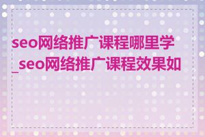 seo网络推广课程哪里学_seo网络推广课程效果如何
