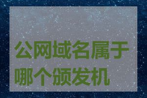 公网域名属于哪个颁发机构