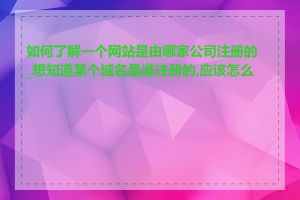 如何了解一个网站是由哪家公司注册的_想知道某个域名是谁注册的,应该怎么查