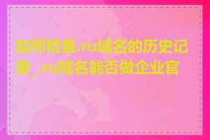如何检查.ru域名的历史记录_.ru域名能否做企业官网
