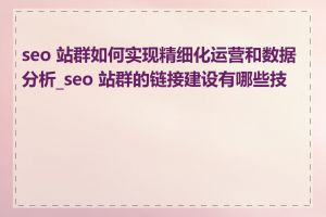 seo 站群如何实现精细化运营和数据分析_seo 站群的链接建设有哪些技巧