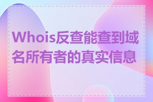 Whois反查能查到域名所有者的真实信息吗