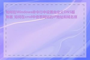 如何在Windows命令行中设置自定义DNS服务器_如何在cmd中查看网站的IP地址和域名信息