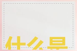 什么是SEO建设