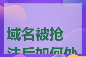 域名被抢注后如何处理