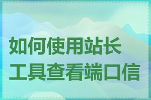 如何使用站长工具查看端口信息