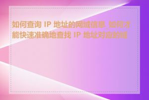 如何查询 IP 地址的网域信息_如何才能快速准确地查找 IP 地址对应的域名