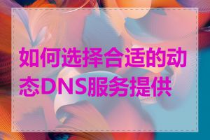 如何选择合适的动态DNS服务提供商
