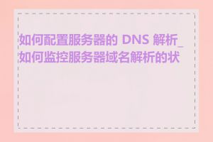 如何配置服务器的 DNS 解析_如何监控服务器域名解析的状态