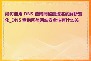 如何使用 DNS 查询网监测域名的解析变化_DNS 查询网与网站安全性有什么关系