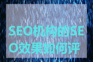 SEO机构的SEO效果如何评估