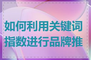 如何利用关键词指数进行品牌推广