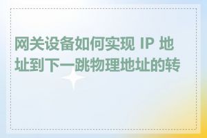 网关设备如何实现 IP 地址到下一跳物理地址的转换