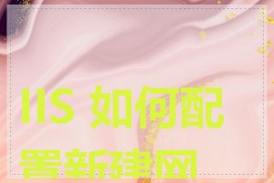 IIS 如何配置新建网站