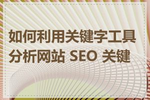 如何利用关键字工具分析网站 SEO 关键字