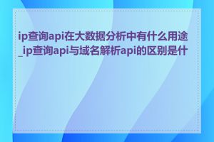 ip查询api在大数据分析中有什么用途_ip查询api与域名解析api的区别是什么