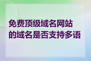 免费顶级域名网站的域名是否支持多语言