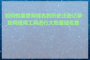 如何批量查询域名的历史注册记录_如何使用工具进行大批量域名查询