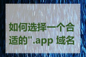如何选择一个合适的".app 域名"