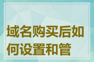 域名购买后如何设置和管理