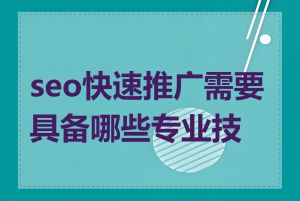 seo快速推广需要具备哪些专业技能